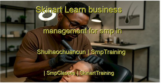 Skinart Learn business management for smp in Shuihaochuancun | SmpTraining | SmpClasses | SkinartTraining-China